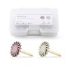 Picture of Dental Silicone Polishing Kit Box