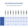 Picture of Endo Z Bur
