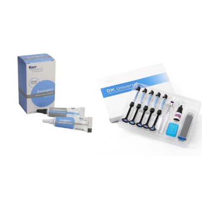 Picture of EpoxySeal Root Canal Resin Based Sealer SafeEndo
