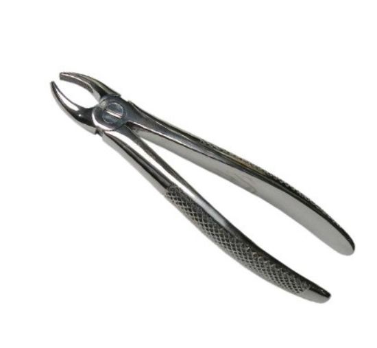 Picture of Extraction Forceps Adult QA & BROTHERS Original