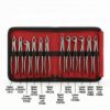 Picture of Extraction Forceps Child QA & BROTHERS Original
