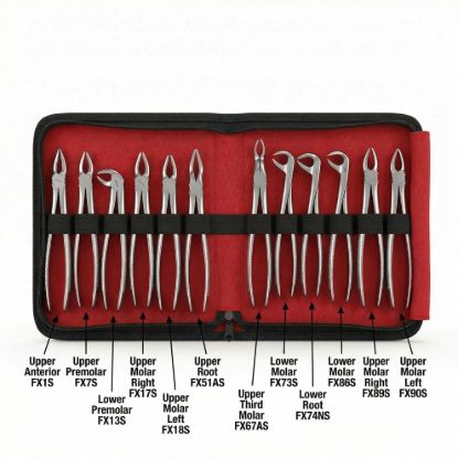 Picture of Extraction Forceps Child QA & BROTHERS Original