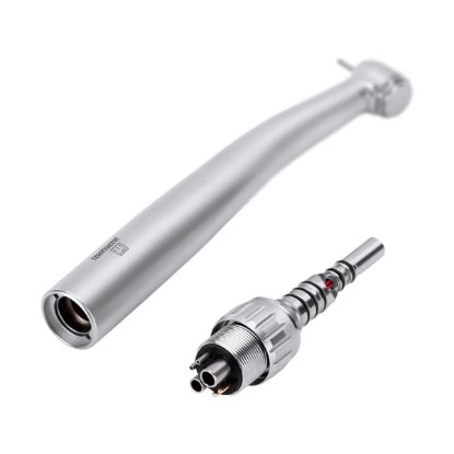 Picture of Mini Head Dyna LED Handpiece