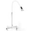 Picture of Portable Mini LED Teeth Whitening Blue Light