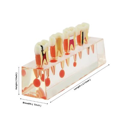 Picture of Root Canal Re-Treatment Files Dentsply Sirona Type Pattern